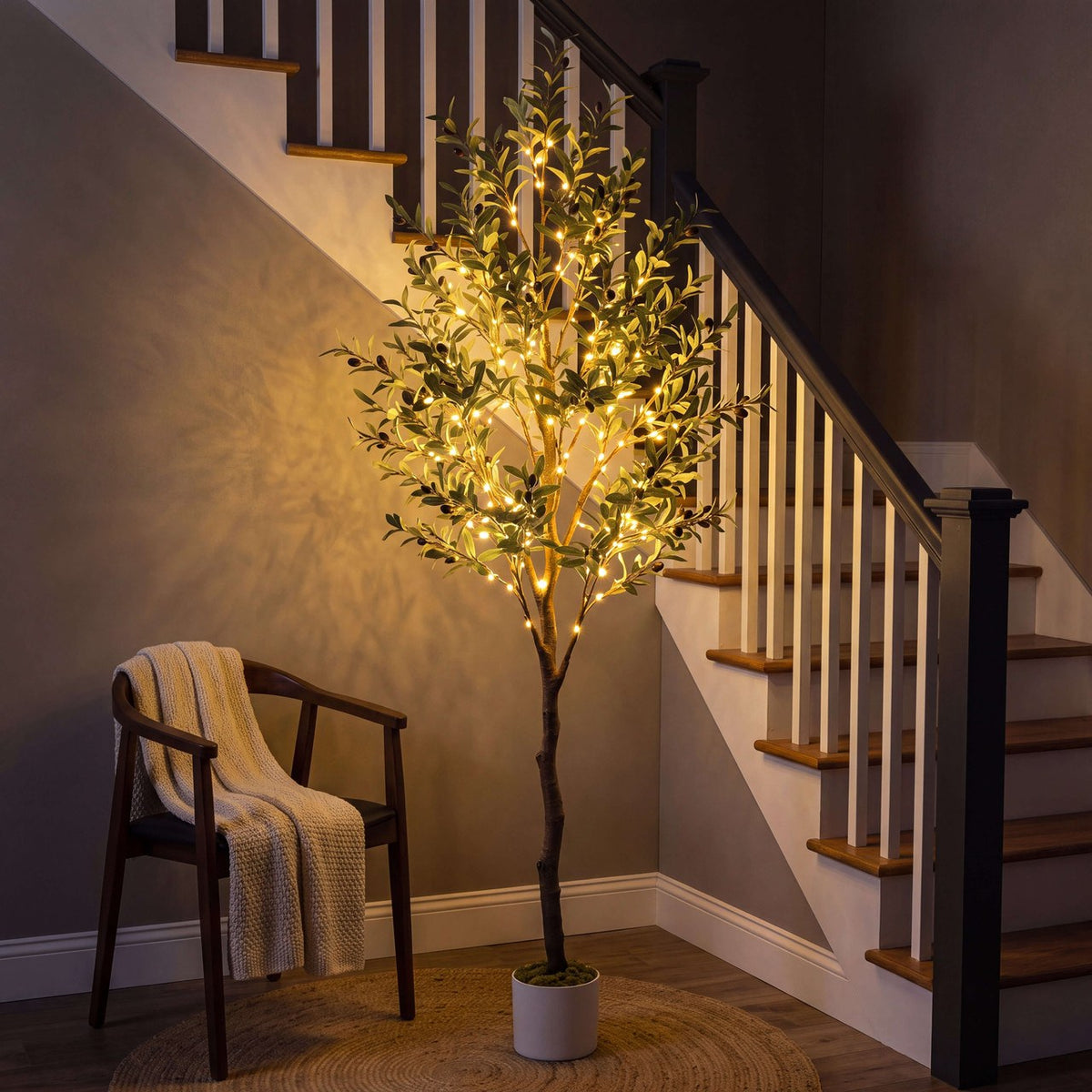 The Olive Tree — Lit Olive Tree, 5 ft — 2